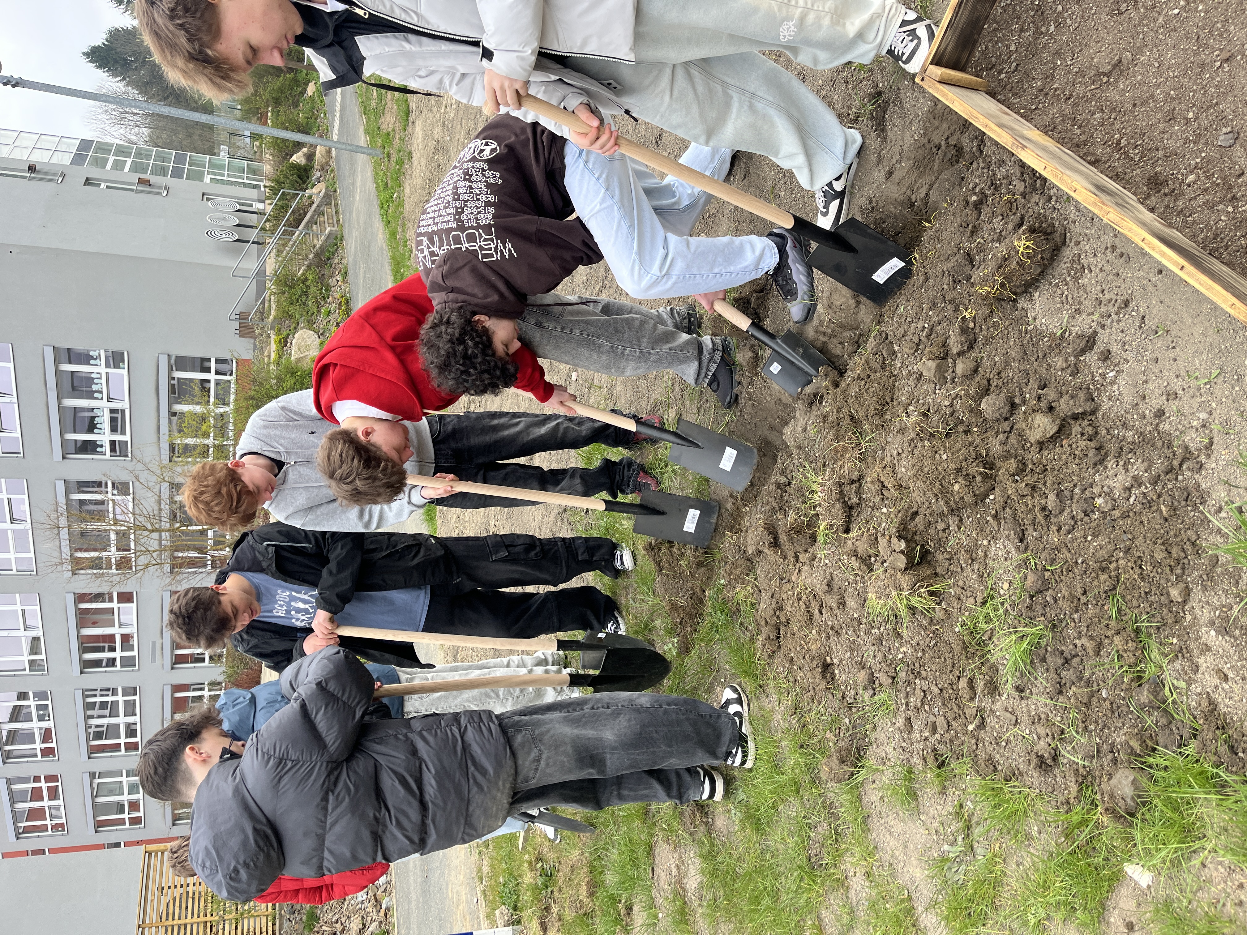 Students preparing the experimental field